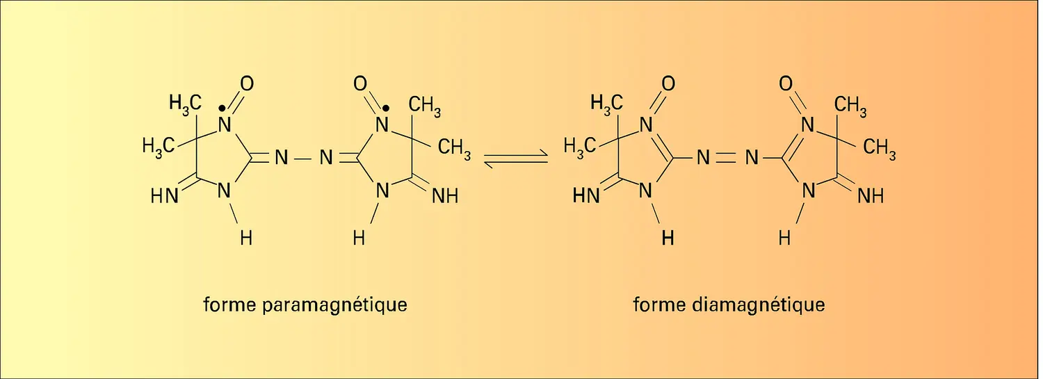 Porphyrindine