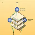 Réseau bouclé et sa forme canonique - crédits : Encyclopædia Universalis France