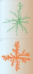 Dépôt cathodique à la séparation entre deux liquides - crédits : Encyclopædia Universalis France