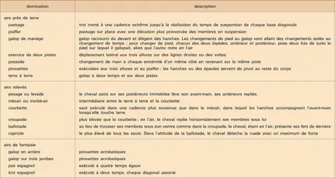 Allures par travail au manège - crédits : Encyclopædia Universalis France