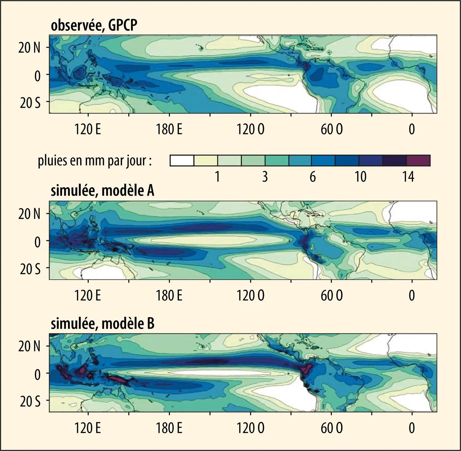 Comparaison entre observations et simulations de modèle