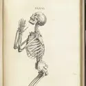 Squelette d'homme en prière - crédits : National Library of Medecine