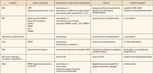 Maladies neurodégénératives - crédits : Encyclopædia Universalis France