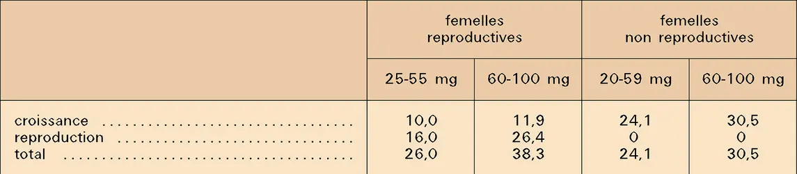Croissance et reproduction chez Armadillidium vulgare - crédits : Encyclopædia Universalis France