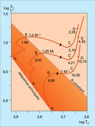 Trajets évolutifs initiaux des étoiles de petite masse - crédits : Encyclopædia Universalis France