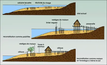 Pilotis, cité lacustre - crédits : Encyclopædia Universalis France