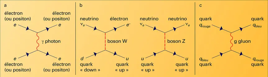 Modes d'interaction des quarks et des leptons - crédits : Encyclopædia Universalis France