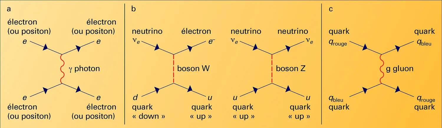 Modes d'interaction des quarks et des leptons