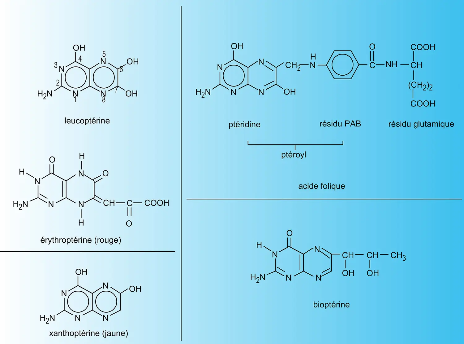 Ptérines