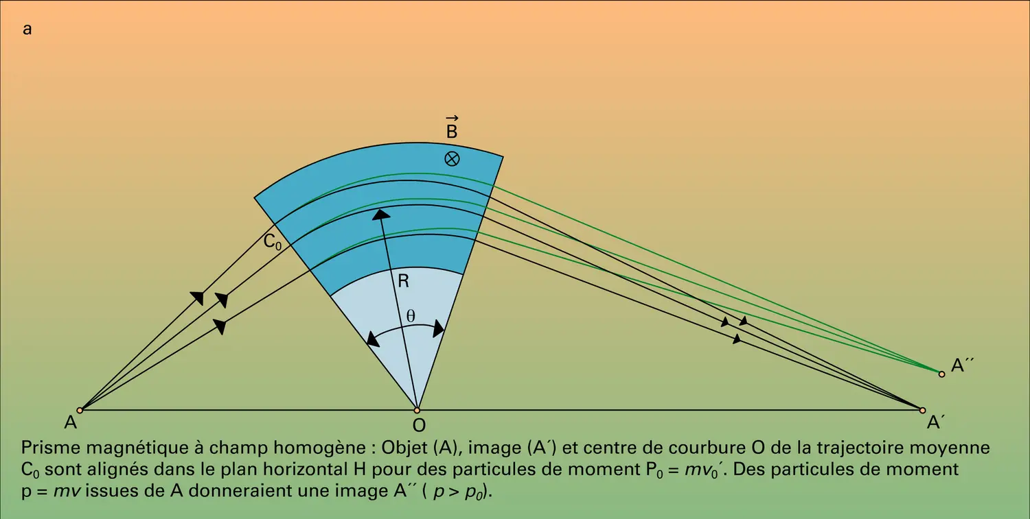 Prismes corpusculaires - vue 1