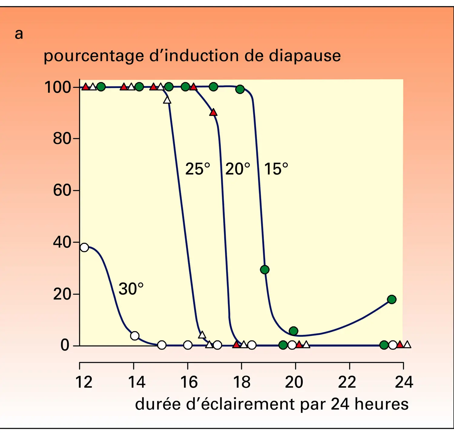 Induction de la diapause chez une noctuelle - vue 1