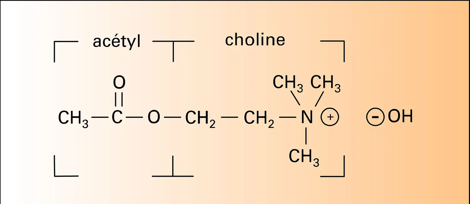 Formule