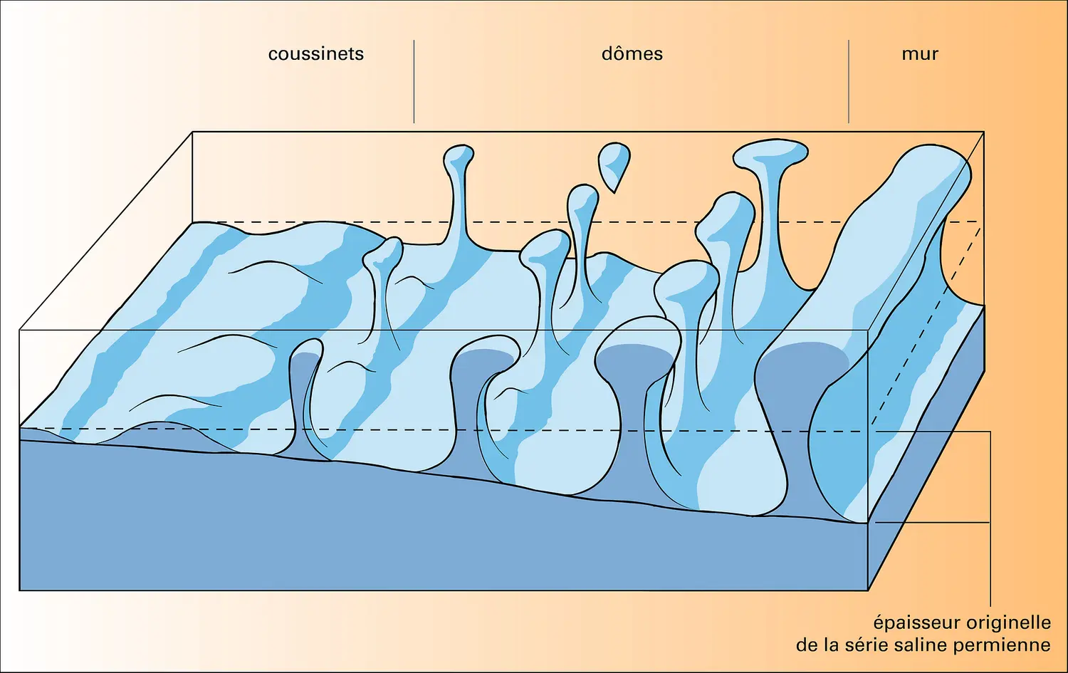 Structures salines et complexe salin du Permien