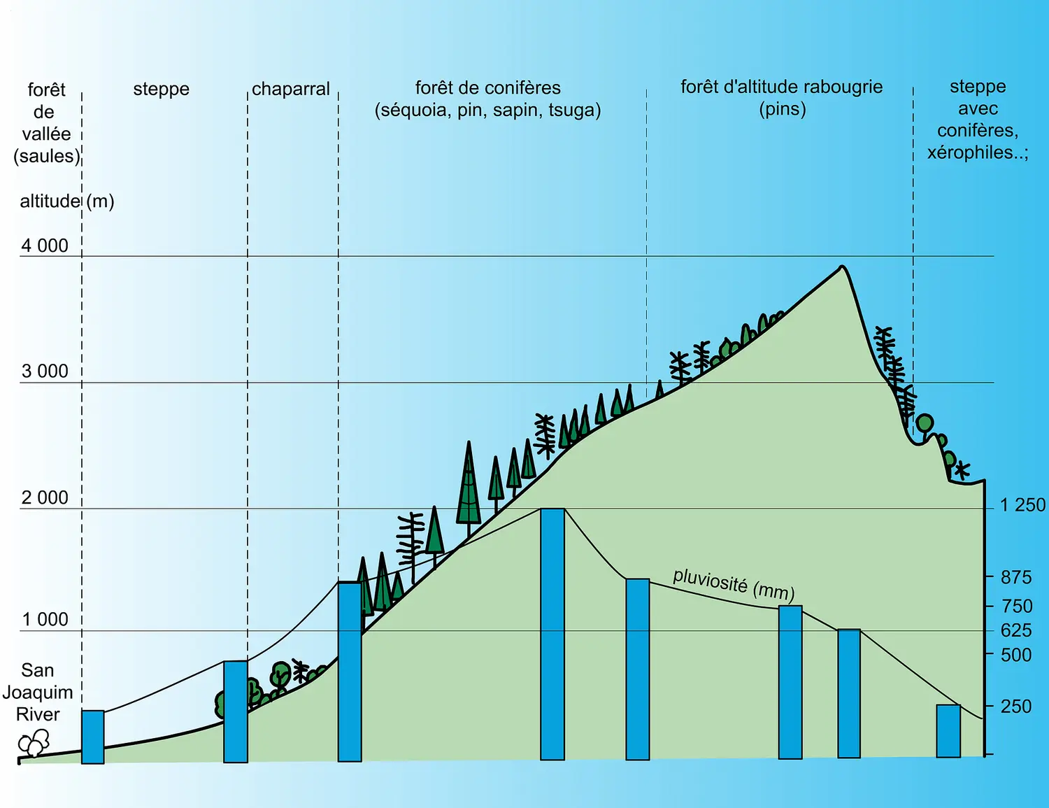 Sierra Nevada (États-Unis) : Végétation et précipitations