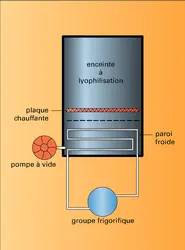 Lyophilisateur - crédits : Encyclopædia Universalis France