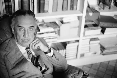 Romain Gary - crédits : Sophie Bassouls/ Sygma/ Getty Images
