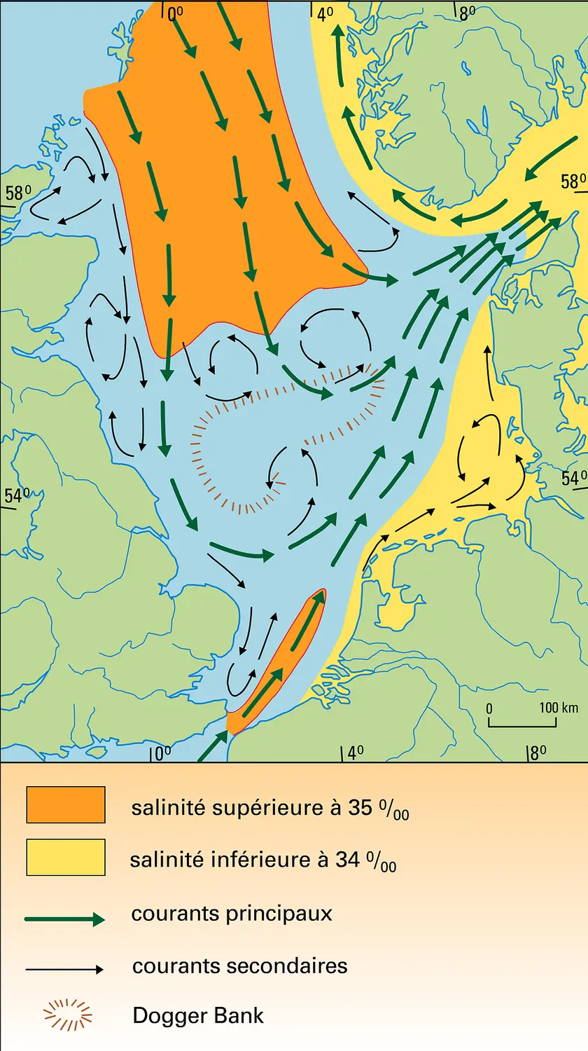 Courants et salinités