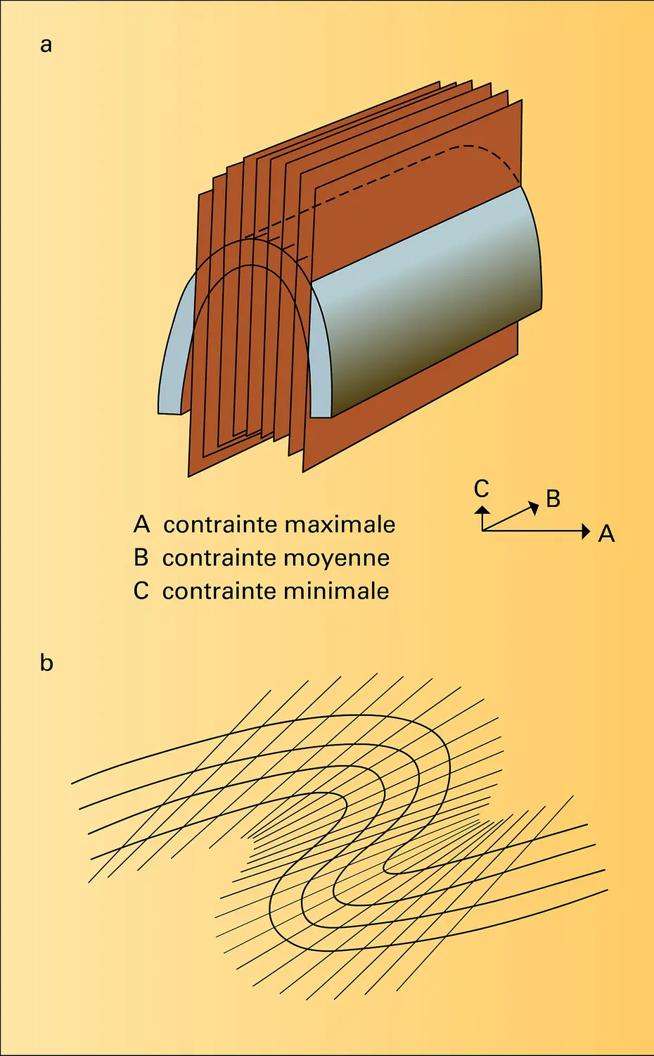 Schistosité : formes diverses