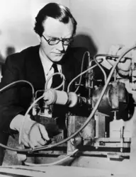 Maurice Wilkins - crédits : Bettmann/ Getty Images