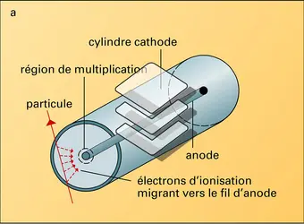 Détecteurs à remplissage gazeux - crédits : Encyclopædia Universalis France