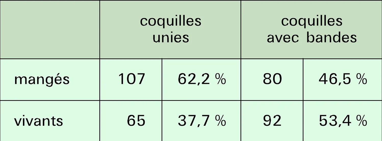 Sélection naturelle chez Cepaea nemoralis