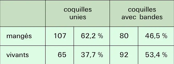 Sélection naturelle chez Cepaea nemoralis - crédits : Encyclopædia Universalis France