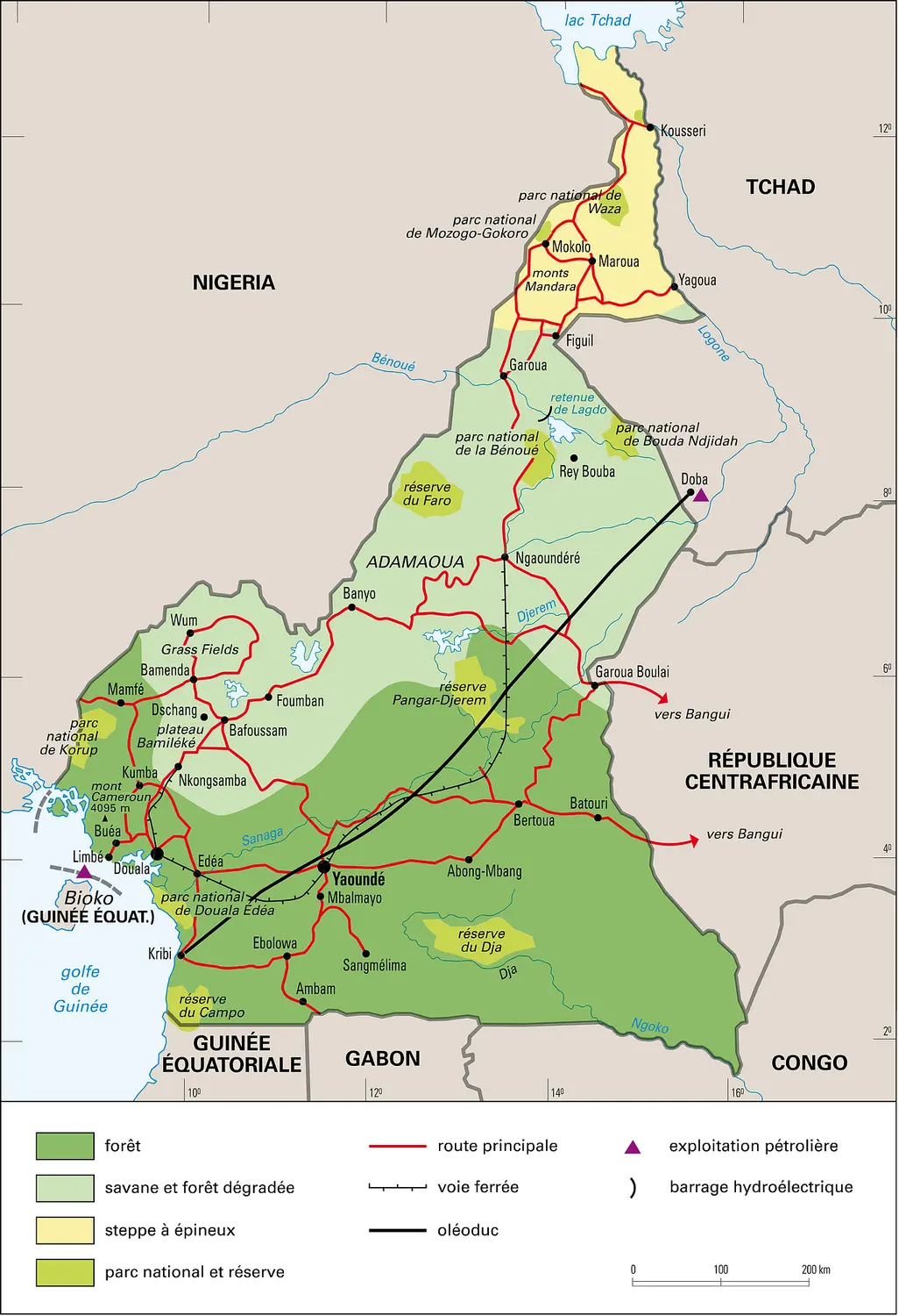 Cameroun : milieux naturels et communication