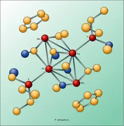Structure d'un cluster moléculaire - crédits : Encyclopædia Universalis France