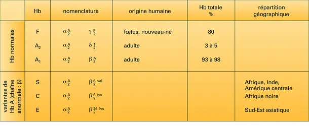 Hémoglobines normales et anormales - crédits : Encyclopædia Universalis France