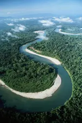 Le fleuve Usumacinta (Guatemala) - crédits : David Hiser/ Getty Images