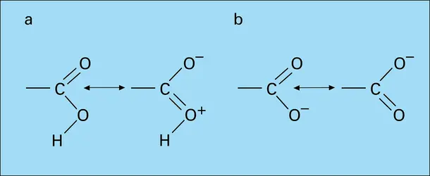 Mésomères du groupe carboxyle et de l'anion carboxylate - crédits : Encyclopædia Universalis France