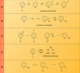 Hétérocycles : réactions 22 à 26 - crédits : Encyclopædia Universalis France