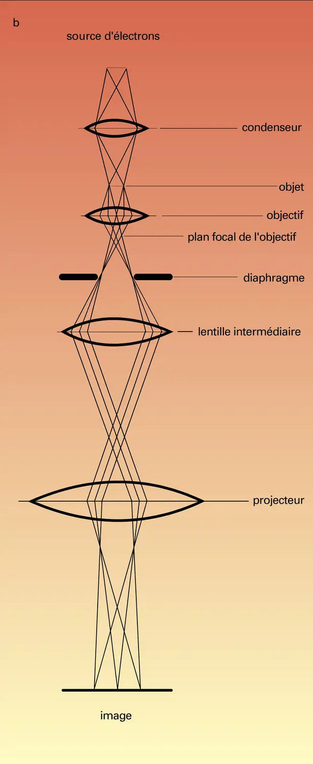 Principe du microscope électronique - vue 2