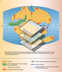 Séparation des continents - crédits : Encyclopædia Universalis France