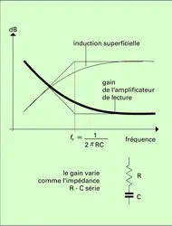 Préamplificateur et induction superficielle - crédits : Encyclopædia Universalis France