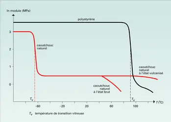 Variation du module du caoutchouc naturel et du polystyrène - crédits : Encyclopædia Universalis France