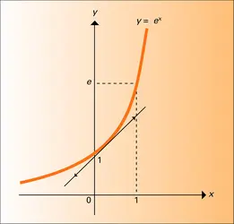 Fonction exponentielle - crédits : Encyclopædia Universalis France