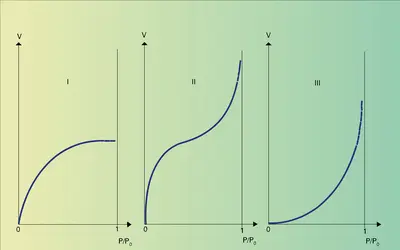 Isothermes d'adsorption des gaz par les solides - crédits : Encyclopædia Universalis France