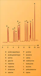 Séparation par chromatographie liquide haute pression - crédits : Encyclopædia Universalis France