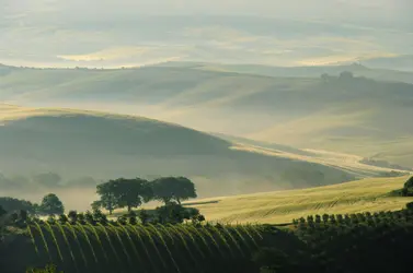 Paysage de Toscane - crédits : LianeM/ Shutterstock