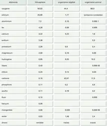 Composition élémentaire d'un organisme végétal - crédits : Encyclopædia Universalis France