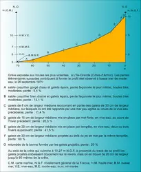 Île-Grande : composantes de la grève - crédits : Encyclopædia Universalis France