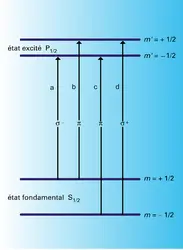 Structure Zeeman - crédits : Encyclopædia Universalis France