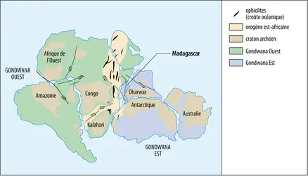 Gondwana 
 - crédits : Encyclopædia Universalis France