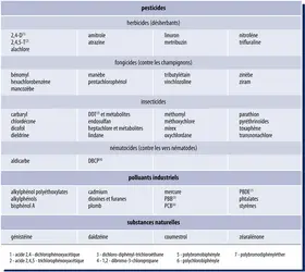 Principaux perturbateurs endocriniens - crédits : Encyclopædia Universalis France