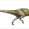 Allosaurus - crédits : Encyclopædia Universalis France