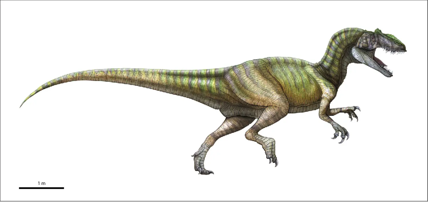 Allosaurus