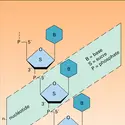 Polynucléotide - crédits : Encyclopædia Universalis France