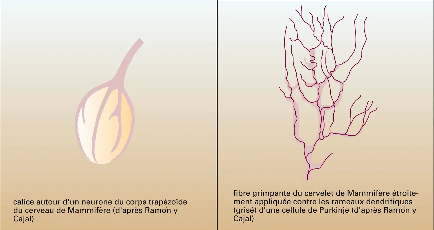 Formes - vue 1