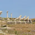 Terrasse des Lions, île de Délos (Grèce) - crédits : Philippe Lemonnier/ EUF